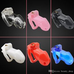 Colourful Male Chastity Device Small Cock Cage With 4 Size Penis Ring Stealth New Lock Sex Toys For Men