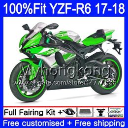 Injection Kit Green white new For YAMAHA YZF600 YZF R6 YZF 600 YZF-R6 17 18 248HM.22 YZF R 6 YZF-600 YZFR6 2017 2018 Fairing Body + 7Gifts