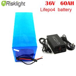 Deep Cycle LiFePO4 Battery Pack 36V 60Ah for Electric Motorcycle with 5A charger