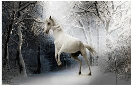 3d landscape wallpaper Snow wallpapers andscape black and white art horse wallpapers background