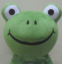 2019 High quality hot Animal fat Frog Mascot Costume , free shipping
