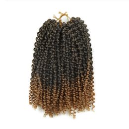 3Packs A Lot Bohemian Curl Crotchet Braids Hair 120G Per Pack Kanekalon Braiding Hair 12 Stands 10Inch synthetic hairs