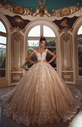 Champagne Ball Gown Wedding Dresses Bridal Gown Country Princess Wedding Gowns Formal Dresses Lace Applique Long Train Camo Plus Size