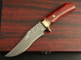 Mantis M2 5,1 Zoll Damaskus taktisches gerades Messer mit fester Klinge, Camping-Jagdmesser, Weihnachtsgeschenk für Mann