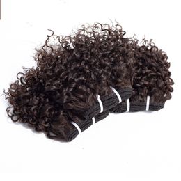 BeautyStarQuality 10inch 12inch Jerry Curly Afro Kinky Curly Indian Curly Human Hair Weft Malaysian Virgin Hair Bundles