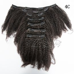 Brazilian VMAE 4A 4C Natural Colour 100g Afro Kinky Curly Cuticle Aligned Virgin Human Hair Extensions Clip In
