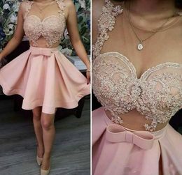 핑크 홈 커밍 드레스 깎아 지른 목 레이스 아플리케 짧은 댄스 파티 드레스 얇은 목 칵테일 파티 드레스를 통해 싼 가운을 통해 봅니다.