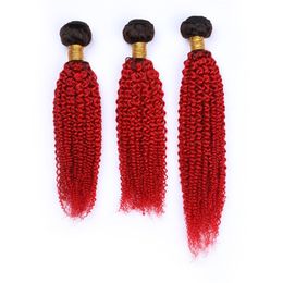 #1B/Red Dark Root Ombre Kinky Curly Peruvian Human Hair Weaves 3Pcs Double Wefts Curly Red Ombre Virgin Peruvian Human Hair Bundles Deals