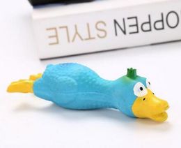 Dog latex toys pet sounding screaming toys chicken spoofing toys bite-resistant 20pcs lot W1263221s