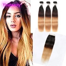 Indian Human Hair Ombre Hair 1B 4 27 Straight Silky 3 Bundles With 4X4 Lace Closure 1B/4/27 Natural Colour