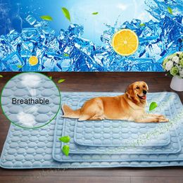 Dog Cooling Mats Australia New Featured Dog Cooling Mats At Best