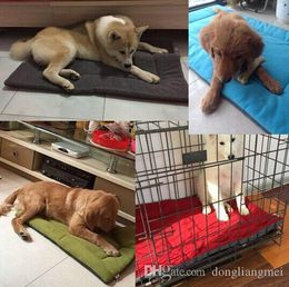 Dog Crate Mats Australia New Featured Dog Crate Mats At Best