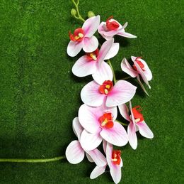 white orchid weddings UK - Factory supplies Artificial Butterfly Orchid Flowers 3D Moth Orchid Flower pink and white orchid Wedding decorative flowers