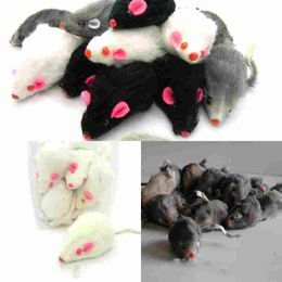 real rabbit fur mouse for cat toys mouse with sound high quality 1pc mix Colour