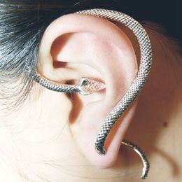 Rinhoo vintage animal snake earring stainless steel Hoop earrings for women men Jewellery girl gift