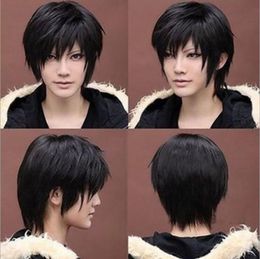 Size: adjustable Select Colour and style 1pc Synthetic New Sexy Men's Handsome Black Short Straight Cosplay Party Hair Wig