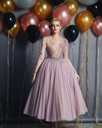 A Blush Pink Line Sexy Prom 2019 Sheer Neck Long Sleeves Dresses Evening Wear Special Ocn Dress Vestidos De Fiesta
