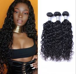 Water Wave Bundles Mongolian Wet and Wavy Human Hair Extensions Non Remy Hair 3 Pieces