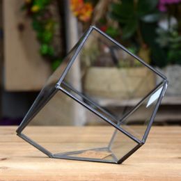 DIY Micro Landscape Cube Greenhouse Glass Succulent Plants Flower Pot Greating a peaceful atmosphere and micro garden and making plants grow