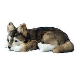 Dorimytrader realistic animal husky plush toy stuffed soft simulation dog pet dogs decoration gift 36x25x14cm DY80007