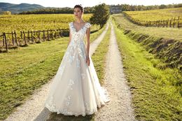2019 Scoop Neck Lace A Line Wedding Dresses Tulle Lace Applique Backless Sweep Train Wedding Bridal Gowns With Cap2378