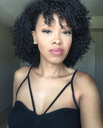 NEW hairstyle women's afro kinky curly natural wig African American Brazilian Hair Simulation Human Hair black Kinky curly wig
