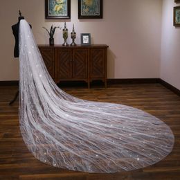 Stunning Bridal Veil Long Wedding Veil with Comb Soft Tulle with Sparkling Sequins Fancy Wedding Accessories