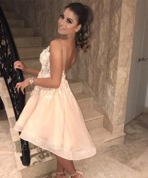 Sexy Backless Champagne Party Homecoming Dresses V Sheer Neck Straps 3D Floral Applique Cocktail Eevning Dress Custom Made 46