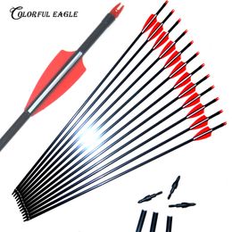 12pcs, Fibreglass Shaft and Vane,Steel Point,Archery Fibreglass Arrows for Hunting Compound Bow,Free Shipping