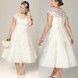 New A Line Wedding Dresses Short Lace Plus Size Sheer Appliques Bridal Gowns Custom Made Hot Selling Fashion