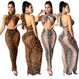 Women Fashion Two Piece Dress Womens Casual Leopard Suits Ladys Sexy Leopard Snake Print Dresses Womens Summer Perspective Sexy Clothing