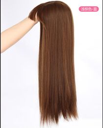 Women hair Wig with bang Long Straight Wigs 24inches Synthetic Wigs For Women Black blonde Fibre Wig