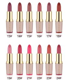 Matte Lipstick Waterproof Korean Cosmetics Makeup Mate Lip Stick rouge a levre Lip Tint Lipstick DHL Free