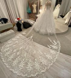 Chic Beaded 3M Long Cathedral Wedding Veils With 3D Applique Soft Tulle One Layer Bridal Veil Wedding Accessories