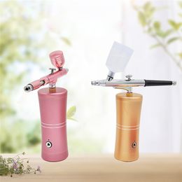 Oxygen injector nanometer spray facial water replenishment and humidifier handheld charging water oxygen Metre