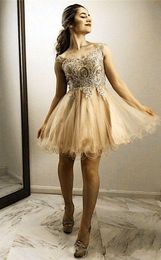 2020 Champagne Piping Tulle Short Homecoming Dresses Lace Beaded V-neck Open Back A-line Prom Dress Graduation Dresses 6th Grade Party