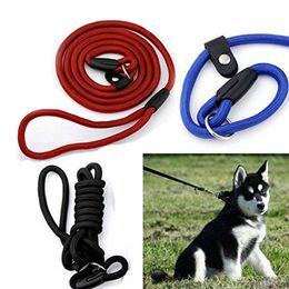 New Pet Dog Nylon Rope Training Leash Slip Lead Strap Adjustable Traction Collar Pet Animals Rope Supplies Accessories