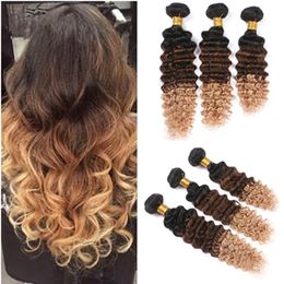 Honey Blonde Ombre Black Hair Nz Buy New Honey Blonde Ombre