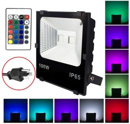 100W RGB LED Flood Lights, Waterproof Outdoor Colour Changing LED Landscape Lights with Remote Control for Hotel Tree Bridge Garden Holiday