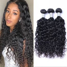Water Wave Human Hair Bundles 3 Pieces Lot Wet and Wavy Indian Women Hair Extensions