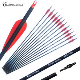 28/30/31 Inch Archery Carbon Arrows Hunting Spine 500 with Replaceable Arrowheads for Recurve Compound Bow shooting