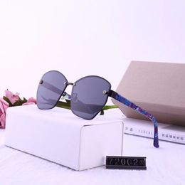 Luxury-Sunglasses -2019 new ladies panel trend polarized sunglasses metallic panel leg polarized lens 72002