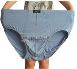 Men Briefs big size plus large size bamboo Fibre briefs Underwear Shorts man Calzoncillos Ropa cueca Grey blue