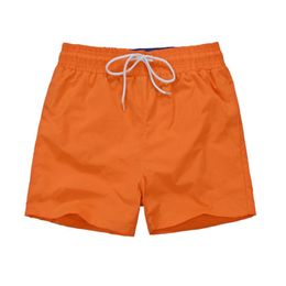 crocodile mens designer swimming beach shorts France fashion Quick drying luxury men s casual swim short 10 Colours dd2 designer