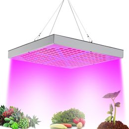 Lampada a LED da 50 W E27 per piante MENGS a spettro completo fiori e verdure Lampada a LED da 50 W E27 per piante MENGS a spettro completo fiori e verdure