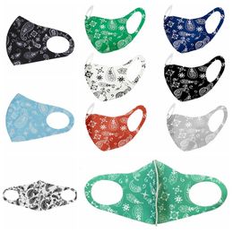 Fashion Paisley Mask 3D Washable Reusable Mask PM2.5 Face Care Shield Breathable Ice Silk Printed Designer Face Party Masks RRA3395