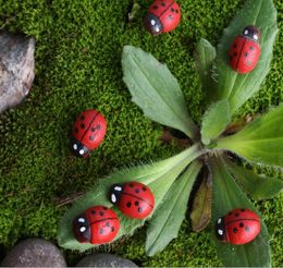 accessories for beetles Canada - Micro landscape ornaments accessories meat ornaments wooden crafts beetle simulation flowers and trees European style house ornaments villai
