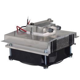 Sistema di refrigerazione refrigerante Mini 15L DC 12V 6A 72W Modulo di raffreddamento termoelettrico Dispositivo di refrigerazione a semiconduttore Kit di raffreddamento ad acqua Sistema di refrigerazione refrigerante Mini 15L DC 12V 6A 72W Modulo di raffreddamento termoelettrico Dispositivo di refrigerazione a semiconduttore Kit di raffreddamento ad acqua
