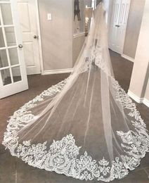 Elegant New Wedding Veils 3 Metres Long Cathedral Length Lace Appliqued Real Image Tulle Bridal Veil With Comb