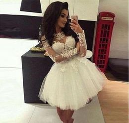 Sexy Long Sleeves Cocktail Dresses 2019 Arabic Dubai Style Lace Formal Club Wear Homecoming Prom Party Gowns Plus Size Custom Made